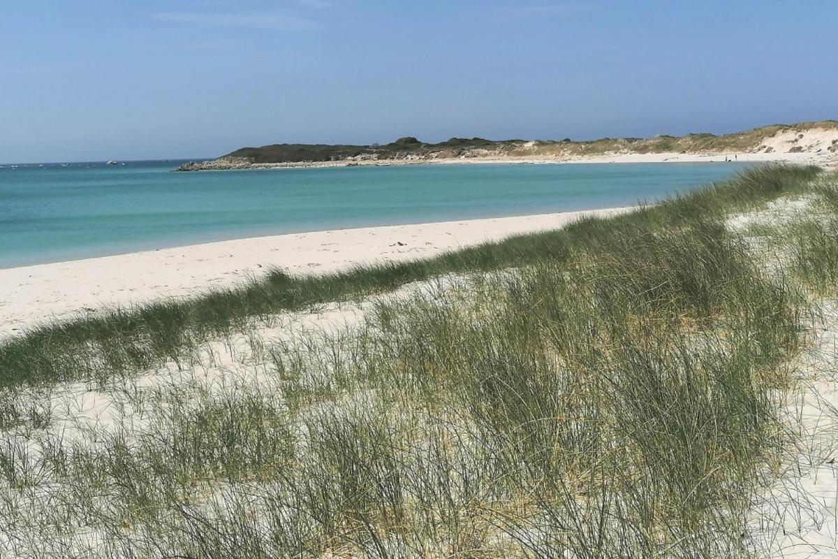 Guest House Dans Jardin Exotique Proche D'Une Voie Verte Morlaix Exteriör bild