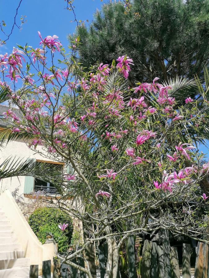 Guest House Dans Jardin Exotique Proche D'Une Voie Verte Morlaix Exteriör bild